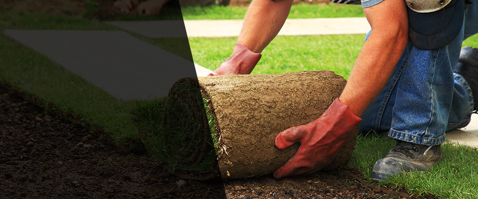 Harrisburg Landscapers